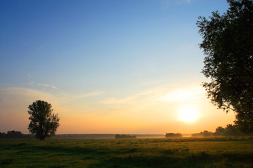Naklejka na ściany i meble Spring sunrise landscape over the meadows along the Vistula river in Mazovia region in Poland.