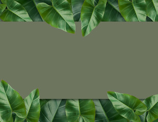 Tropical palm leaves with empty paper for your design  Minimal nature. Summer Styled. Flat lay,...