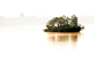 Willow trees on the meadows along the Vistula river in Mazovia region in Poland in spring season. © Art Media Factory