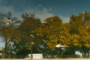 Autumn reflections 