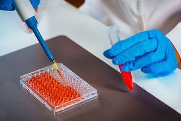 Biotechnology. Laboratory technician working with cell culture