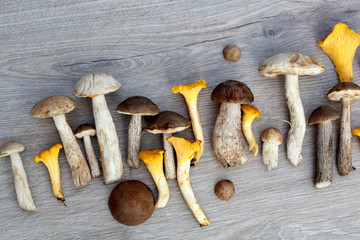 boletus and chanterelles on wooden background