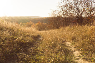 Agricultural autumn landscape in New England, USA