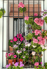 White wall decorated with flower pots