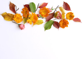 Autumn background. Creative flat layout of colorful autumn leaves and flowers.. Fall decorative concept, flat lay.
