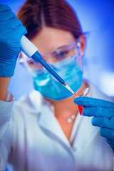 Biotechnology. Scientist working in lab.
