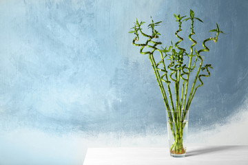 Table with bamboo plant in glass vase near color wall. Space for text