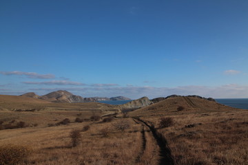 landscape in the desert