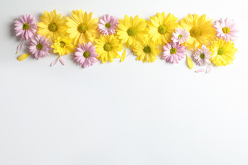 Beautiful chamomile flowers on white background, flat lay with space for text