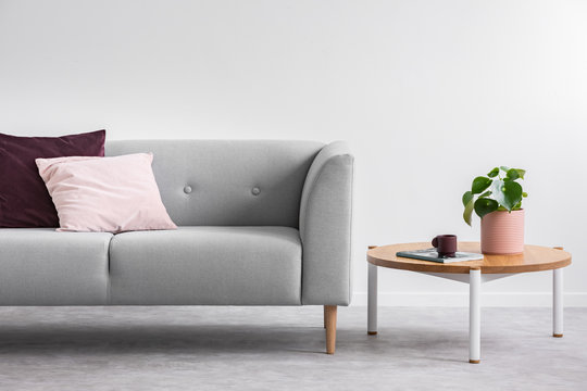 Plant on wooden table next to grey couch with pink and violet pillow in grey loft interior. Real photo