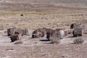 Pieces of petrified wood split that has now turned the prehistroic log into crystal stone minerals at the Petrified Forest National Park in Arizona