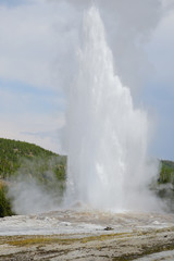 Eruption of the Old Faithful Geyser in Yellowstone National Park, Wyoming, United States