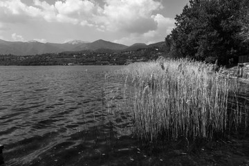 Pusiano lake , panorama , Italy