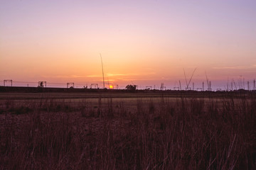Pavia, sunset in the fields, Italy