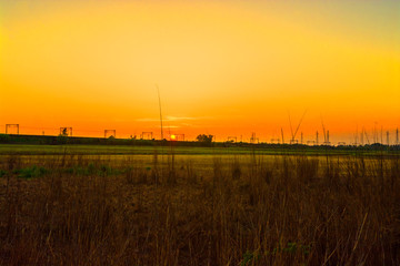 Fototapeta na wymiar Pavia, sunset in the fields, Italy