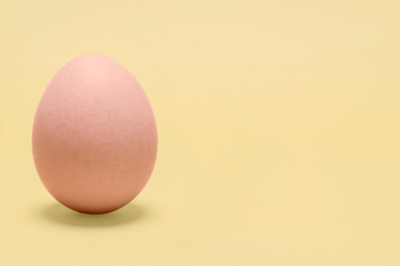 Single organic brown egg in a left side composition on a yellow background standing up with copy space and room for text.