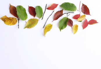 Autumn background. Creative flat layout of colorful autumn leaves. Fall decorative concept, flat lay.