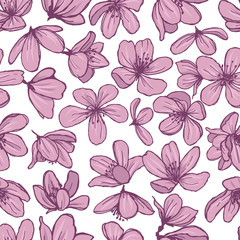 Pink blossom flowers on white background. Gentle spring floral seamless pattern.