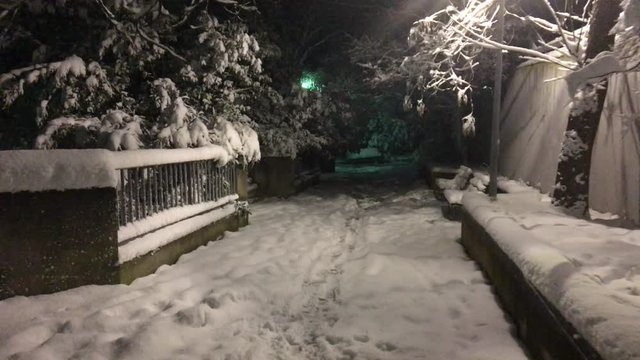 Passeggiando sulla neve fresca in città