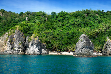 Fototapeta na wymiar Apo Island Philippines