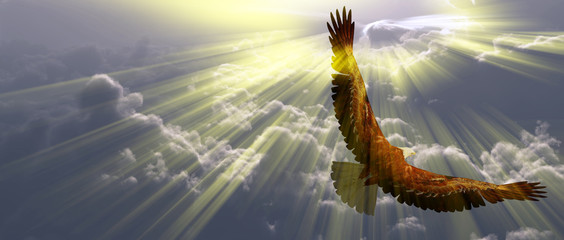 Fototapeta na wymiar Eagle in flight above the clouds