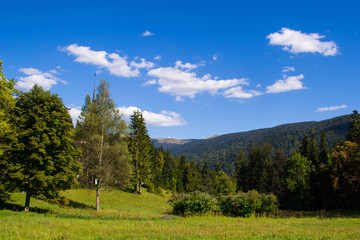 Mountain landscape with forest