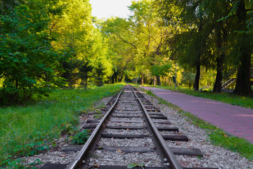 Obraz premium Railway tracks in the forest