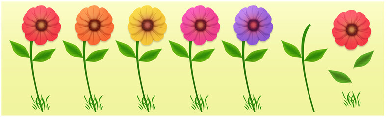 Set of multicolored flowers, red, orange, yellow, pink, purple. Flower parts to assemble. Flowers with petals, leaves, grass and stem. Illustration.