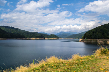 Blue lake surrounded by green forest