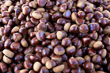 Fresh juicy raw chestnuts. Gourmet appetizer French street food. Photo for the background of a cafe, diner on wheels.
