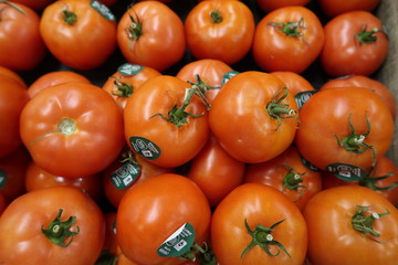 Tomaten