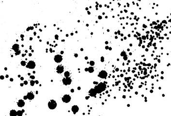 Ink grunge drops texture. Black hand drawn splashes and stains on white background.