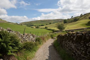 Road in the Dales