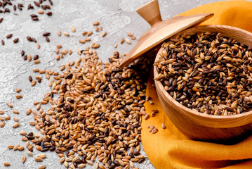 Mixed varieties of malted grain in a wooden plate on a gray background. close-up. series of photos. space