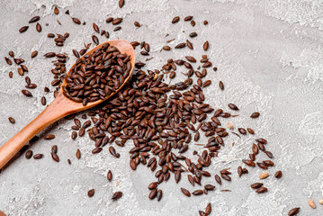 malted grains in a wooden spoon closeup. Mixed varieties of malted grain on a gray background. close-up