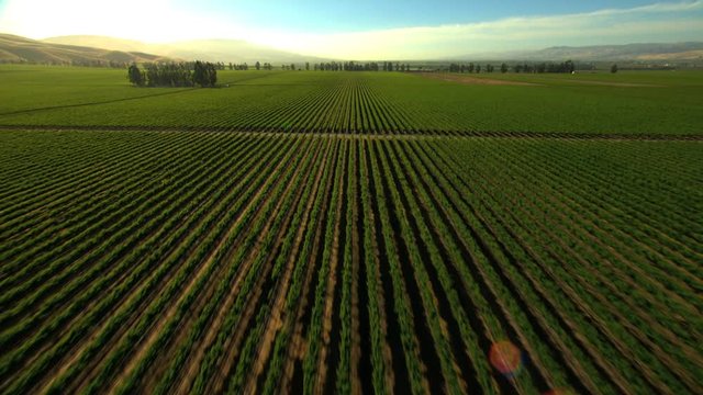 Aerial California USA arable Farming crops field vegetation agricultural