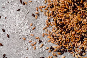 Malted grain closeup. Mixed varieties of malted grain on a gray background. close-up. top view. flat lay