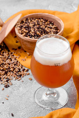 Malt grain and a glass of beer. Mixed varieties of malted grain on a gray background. close-up