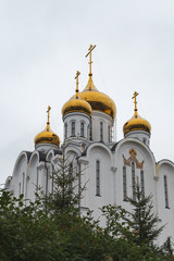 high Orthodox Cathedral of white color among green trees