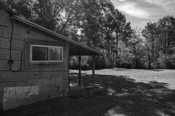 Obraz premium Grandma's House 