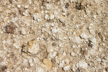 Soil surface. Clay and sand. Texture, close-up