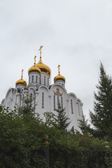 Fototapeta na wymiar high Orthodox Cathedral of white color among green trees