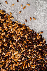 Malted grain closeup. Mixed varieties of malted grain on a gray background. close-up. top view. flat lay