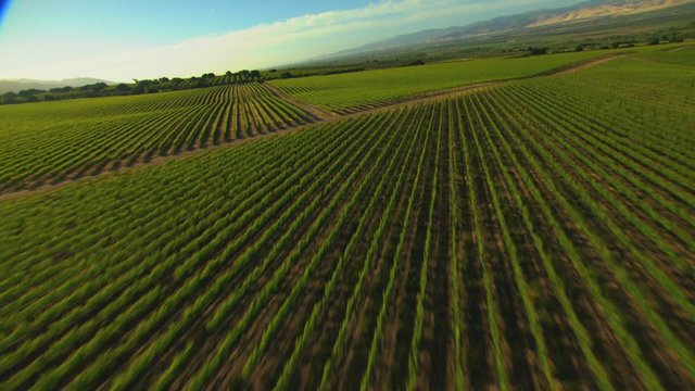 Aerial California USA arable farmland crops agricultural Landscape