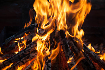 Beautiful fire with flames charred wood