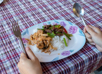 Rice topped with stir-fried pork and curry