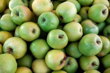 Fresh green apples on the market . Many apples a great backdrop for a fruit store.