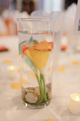 Flowers in vase