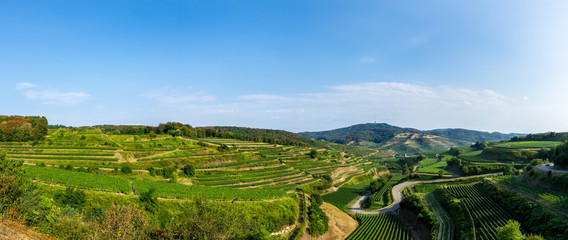 Obraz premium Germany, XXL panorama of vineyard nature landscape and terraces in Kaiserstuhl region