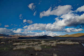 Western Mongolia. Sparse vegetation of high-mountain steppes